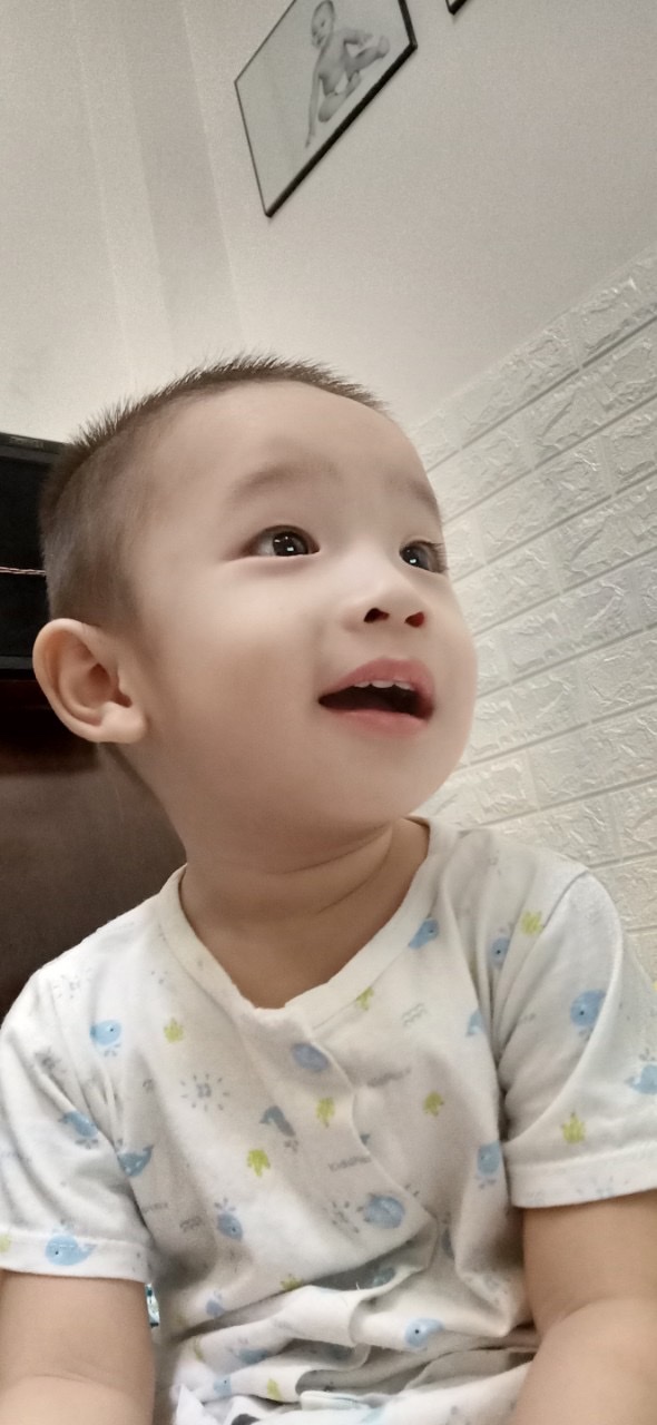 Conan ( Mít Tơ nai bi em)